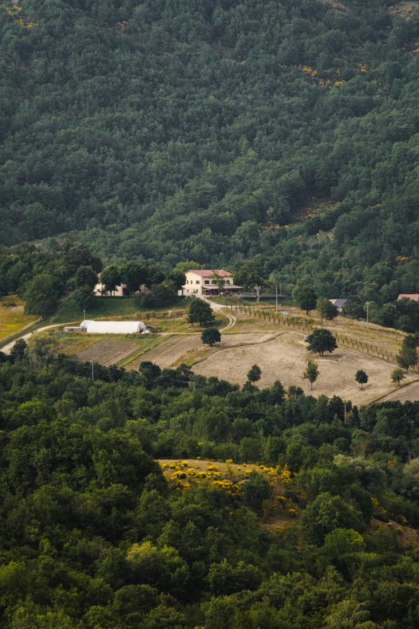 Fattoria Del Borgo In Sabina Villa Rieti Exterior photo